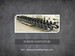 seed screw conveyor